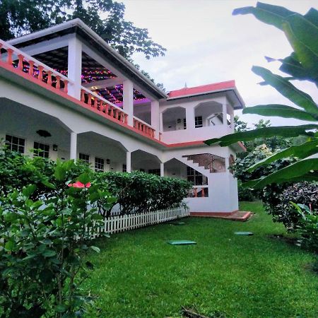 Polish Princess Guest House Πορτ Αντόνιο Εξωτερικό φωτογραφία