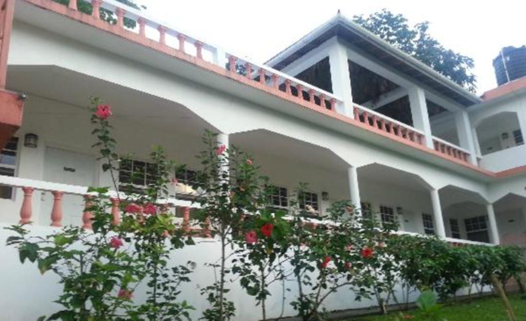 Polish Princess Guest House Πορτ Αντόνιο Εξωτερικό φωτογραφία